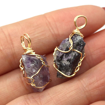 Raw Rough Natural Amethyst Pendants, Nuggets Charms with Golden Plated Copper Wire Wrapped, 18~30x12~22mm