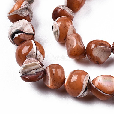 Chapelets de perles de coquille de trochid / trochus coquille(SSHEL-N032-48-A07)-3