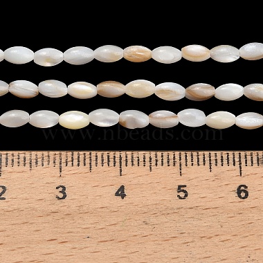 Natural Freshwater Shell Beads Strands(SHEL-C010-03A)-4
