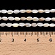 Natural Freshwater Shell Beads Strands(SHEL-C010-03A)-4