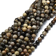 Natural Black Sunstone Beads Strands, Round, 10mm, Hole: 1mm, about 42pcs/strand, 15.55''(39.5cm)(G-E576-01C)