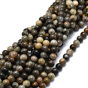 Natural Black Sunstone Beads Strands, Round, 10mm, Hole: 1mm, about 42pcs/strand, 15.55''(39.5cm)