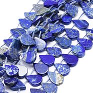 Natural Lapis Lazuli Beads Strands, Teardrop, 12~20x5~15x3~7mm, Hole: 0.8mm, about 24pcs/strand, 15.04''(38.2cm)(G-E569-R10)
