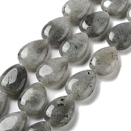 Natural Labradorite Beads Strands, Flat Teardrop, 17.5~18x13~13.5x6mm, Hole: 1.2~1.4mm, about 11pcs/strand, 7.56''(19.2cm)(G-P528-L03-01)