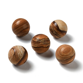 Natural Picture Jasper Beads, No Hole/Undrilled, Round, 25~25.5mm