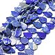 Natural Lapis Lazuli Beads Strands(G-E569-R10)-1