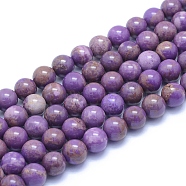 Natural Lepidolite/Purple Mica Stone Beads Strands, Round, 9.5~10mm, Hole: 0.8mm, about 38pcs/strand(G-L552H-09D)