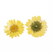 Opaque Resin Flower Cabochons, Chrysanthemum, Yellow, 28.5~29.5x1.4mm(RESI-L036-07A)