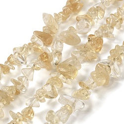 Natural Citrine Beads Strands, Chip, 5~11x4~7x1~5mm, Hole: 1mm, 33.86 inch(86cm)(G-F771-B02-01)