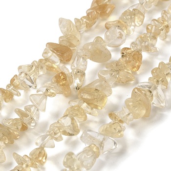 Natural Citrine Beads Strands, Chip, 5~11x4~7x1~5mm, Hole: 1mm, 80~81cm