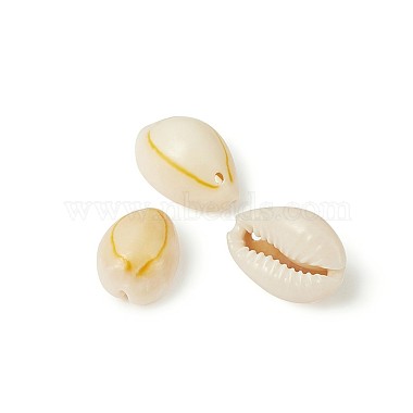 Yilisi Cowrie Shell Beads(BSHE-YS0001-01)-4