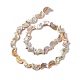 Drawbench Style Natural Freshwater Shell Beads Strands(SHEL-F003-05)-3