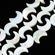 Natural Trochid Shell/Trochus Shell Beads Strands, Moon, Bleach, 12x9~10x3mm, Hole: 0.8mm, about 34~35pcs/strand, 15.35 inch(39cm)(SSHEL-N032-25)