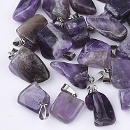 Natural Amethyst Pendants, with Stainless Steel Snap On Bails, Nuggets, 15~35x10~20x5~15mm, Hole: 3x7.5mm(G-Q996-03)