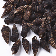 Natural Spiral Shell Beads, Turritella Shell, Undrilled/No Hole Beads, Coconut Brown, 23~33x9~15x8~11mm(SSHEL-S258-92)