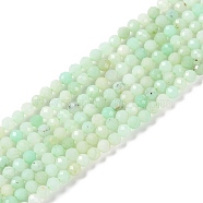 Natural Chrysoprase Beads Strands, Faceted, Round, 3x2.5mm, Hole: 0.6mm, about 151~153pcs/strand, 15.35''(39cm)(G-P542-A04-02)