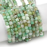 Natural Chrysoprase Beads Strands, Faceted Table Cut Cube, 3x3x3mm, Hole: 0.6mm, about 175pcs/strand, 14.96''(38cm)(G-G140-C07-02A)