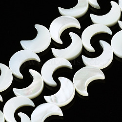 Natural Trochid Shell/Trochus Shell Beads Strands, Moon, Bleach, 12x9~10x3mm, Hole: 0.8mm, about 34~35pcs/strand, 15.35 inch(39cm)(SSHEL-N032-25)