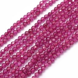 Lab Grown Red Corundum Beads Strands, Faceted, Round, 2mm, Hole: 0.5mm, about 165pcs/strand, 15.35 inch(39cm)(G-E411-40-2mm-1)