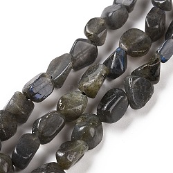 Natural Larvikite Beads Strands, Nuggets, 6~10.5x6~7.5x4~5mm, Hole: 0.8mm, about 50pcs/strand, 15.94''(40.5cm)(G-A208-08)
