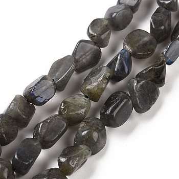 Natural Larvikite Beads Strands, Nuggets, 6~10.5x6~7.5x4~5mm, Hole: 0.8mm, about 50pcs/strand, 15.94''(40.5cm)