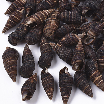 Natural Spiral Shell Beads, Turritella Shell, Undrilled/No Hole Beads, Coconut Brown, 23~33x9~15x8~11mm