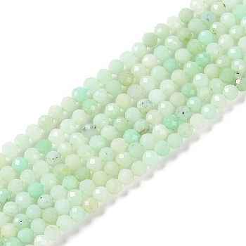 Natural Chrysoprase Beads Strands, Faceted, Round, 3x2.5mm, Hole: 0.6mm, about 151~153pcs/strand, 15.35''(39cm)