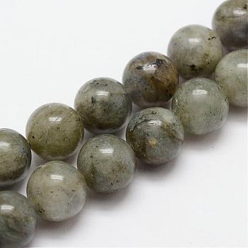 Natural Labradorite Bead Strands, Round, 10mm, Hole: 1mm, about 19pcs/strand, 7.7 inch