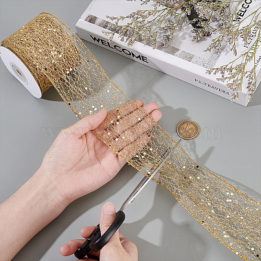 1 Roll Polyester Ribbons with Sequins(OCOR-NB0002-48B)-3