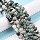 Natural Tree Agate Beads Strands(G-K194-10mm-02)-7