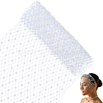 1M Polyester Mesh Fabric, with Plastic Beads, for DIY Veils Hats Fascinators, White, 250mm(DIY-GF0011-07A)