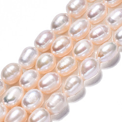 Natural Cultured Freshwater Pearl Beads Strands, Rice, Creamy White, 8~9x6~7mm, Hole: 0.7mm, about 36~38pcs/strand, 13.78 inch(35cm)(PEAR-N012-06G)