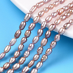 Natural Cultured Freshwater Pearl Beads Strands, Baroque Keshi Pearl Rice Beads, Thistle, 4.5~8.2x3.5~4mm, Hole: 0.7~0.8mm, about 53~63pcs/strand, 13.98 inch(35.5cm)(PEAR-N012-03L)