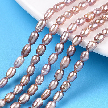 Natural Cultured Freshwater Pearl Beads Strands, Baroque Keshi Pearl Rice Beads, Thistle, 4.5~8.2x3.5~4mm, Hole: 0.7~0.8mm, about 53~63pcs/strand, 13.98 inch(35.5cm)
