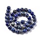 Natural Lapis Lazuli Beads Strands(G-E483-17-10mm)-3