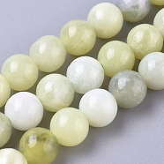 Natural Sinkiang Jade Beads Strands, Round, 6mm, Hole: 1mm, about 60pcs/strand, 14.96 inch(38cm)(X-G-L538-036-6mm)