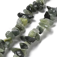 Natural Green Rutilated Quartz Beads Strands, Chip, 1~8x5~17x5~8mm, Hole: 0.9~1mm, 30.31~31.50''(77~80cm)(G-M205-81)