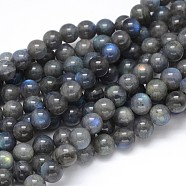 Natural Labradorite Round Bead Strands, Grade AA, 8mm, Hole: 1mm, about 50pcs/strand, 16 inch(G-O087-05-8mm)