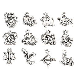 Zinc Alloy Charms, 12 Constellations Shape, Cadmium Free & Lead Free, Antique Silver, 10mm, 12pcs/bag, 5bag/box(PALLOY-CJ0001-100)