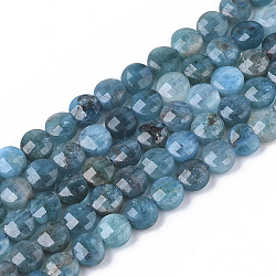 Natural Apatite Beads Strands, Faceted, Flat Round, 4x2.5mm, Hole: 0.6mm, about 102pcs/strand, 15.35 inch(39cm)(X-G-S362-011)