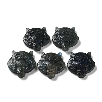 Natural Labradorite Engraved Cabochons, Tiger, 43~44x41~41.5x10~11mm