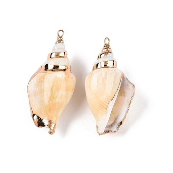 Natural Conch Shell Big Pendants, Shell Shaped Charms with Golden Tone Iron Loops, Bisque, 47.5~52.5x23.5~29x17.5mm, Hole: 1.8mm