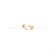 Brass Flat Pad Pin, for DIY Butterfly Clutches and Buckles, Golden, 8x4.5mm, Pin: 1mm(FIND-TAC0002-016G)