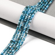 Natural Apatite Beads Strands, Faceted, Rondelle, 3x2mm, Hole: 0.8mm, about 175pcs/strand, 15.35 inch(39cm)(G-F770-D09-02A)