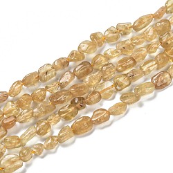 Natural Yellow Apatite Beads Strands, Nuggets, Tumbled Stone, 5~8.5x5.5~7x3.5~4mm, Hole: 0.7mm, about 64pcs/strand, 16.34''(41.5cm)(G-G018-20)