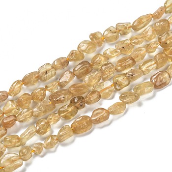Natural Yellow Apatite Beads Strands, Nuggets, Tumbled Stone, 5~8.5x5.5~7x3.5~4mm, Hole: 0.7mm, about 64pcs/strand, 16.34''(41.5cm)