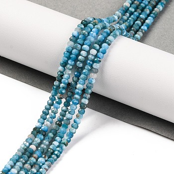 Natural Apatite Beads Strands, Faceted, Rondelle, 3x2mm, Hole: 0.8mm, about 175pcs/strand, 15.35 inch(39cm)