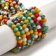 Glass Beads Strands(EGLA-A034-M6mm-43)-1