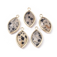 Natural Dalmatian Jasper Pendants, with Golden Plated Brass Findings, Faceted, Horse Eye, 21.5x11.5x3~5mm, Hole: 1.6mm(G-L514-023H)