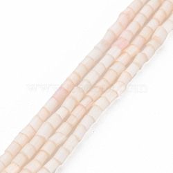 Glass Silk Stain Style Beads Strands, Tube, PeachPuff, 1.5~5x2mm, Hole: 0.8mm, about 185~187pcs/strand, 15.55 inch~15.75 inch(39.5~40cm)(GLAA-N047-001A-03)